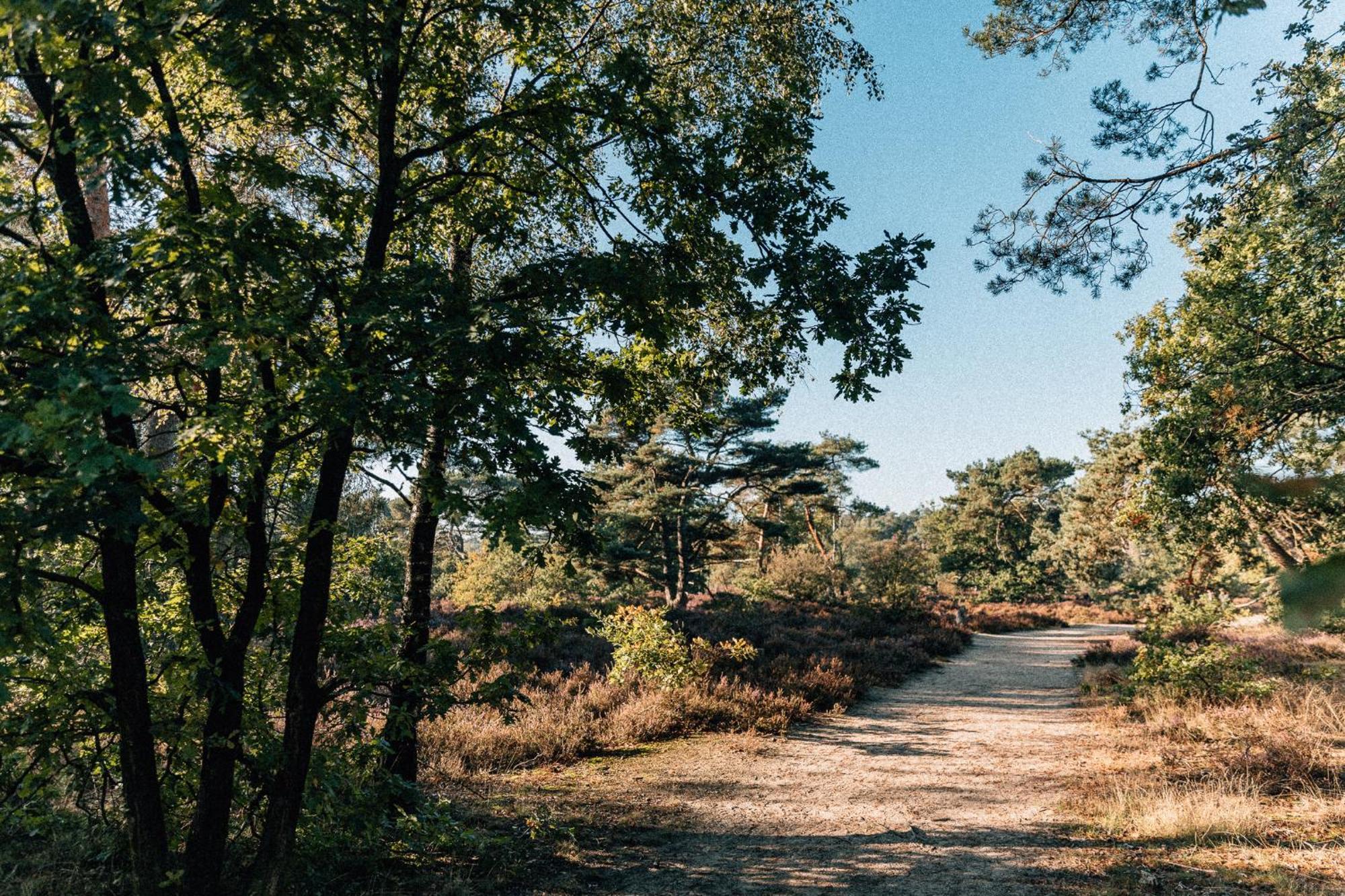 De Wever Lodge オッテルロ エクステリア 写真